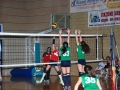 10888534_883074851743553_9079548767425455508_n