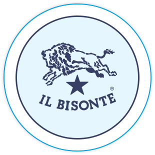bisonte volley